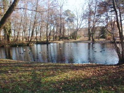 Zámocký park