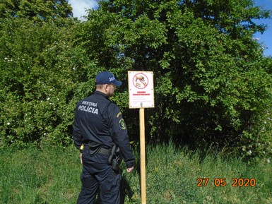 Mestská polícia upozorňuje na premnožený výskyt diviakov